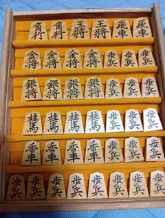 中村様専用＊金井静山作盛上駒「虎班」水無瀬御蔵島黄楊根杢 - メルカリ
