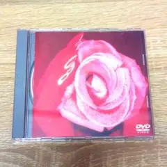 SMAP 10 TEN CD オリジナル アルバム 1996年 中古品