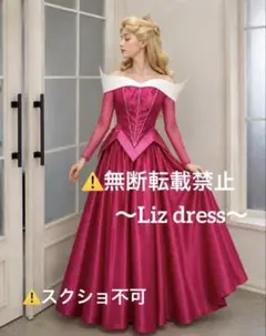 眠れる森の美女 オーロラ姫偏光ドレス Dハロ仮装 コスプレ衣装