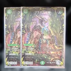 [追跡発送]　ブラキオ龍樹　銀トレジャー　2枚