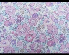 Item thumbnail for item 3136be93-e698-427f-a62d-98242ff4a163