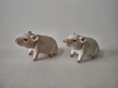 アニア　子豚　ブタのサムネイル