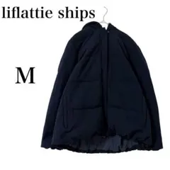 Item thumbnail for item 7543ea64-6af1-4604-8b9b-402f63dabb02