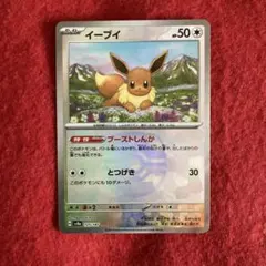 ブイズ　マスボ　モンボミラー 2026年最新】マスターボール イーブイの人気アイテム - メルカリ
