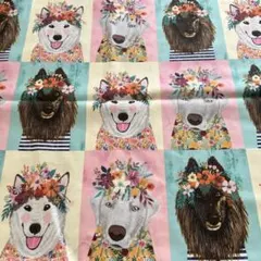 USAコットン約55cm幅