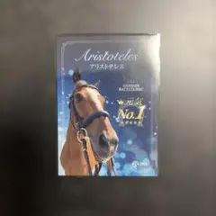 JRA 阪神競馬場 誘導馬カード アリストテレス