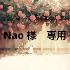 Nao様　専用