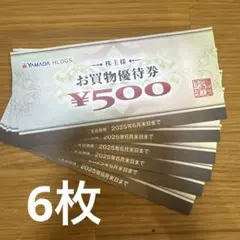 YAMADA HLDGS. お買物優待券 ¥500✖️6 枚