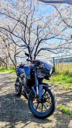 KTM Duke 200カスタムのサムネイル