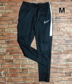 Item thumbnail for item 4eefd66b-6011-430a-a6a3-9ae62228d4ce