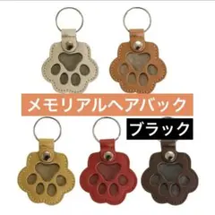 Item thumbnail for item 382c638e-a709-4f57-9c1b-a82376633db2