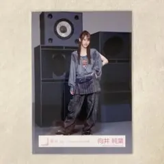 向井純葉 Lonesome rabbit MV衣装 生写真のサムネイル
