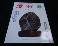 2026年最新】梅花石の人気アイテム - メルカリ