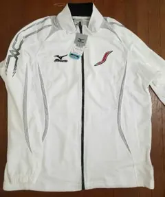 Item thumbnail for item 806a3cce-6c68-40aa-b36e-a14770ea0890