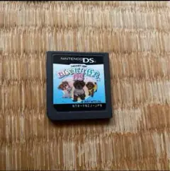 おしゃれな仔犬ds