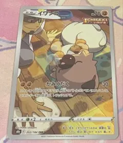 ポケモンカード イワンコ chr 1枚