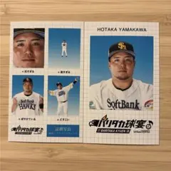 Item thumbnail for item b6df3f34-6963-4520-8019-cf043ea4e200