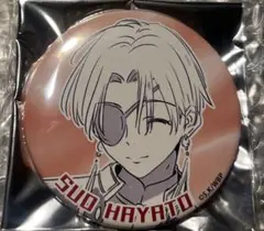 WIND BREAKER 蘇枋隼飛 缶バッジ