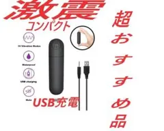 ☆shushu★様 リクエスト 2点 まとめ商品