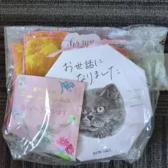 Item thumbnail for item 81d056ab-612c-4f8a-9c6a-1c2a6935aea0