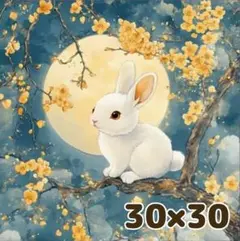 30×30 ダイヤモンドアート キット ラウンド うさぎ 月 満月 名月