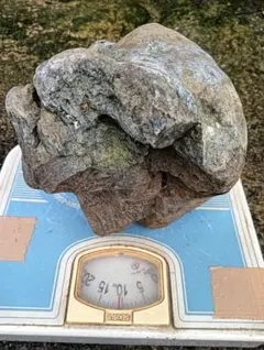 八海石 24kg 新潟県三大奇石 2026年最新】八海石の人気アイテム - メルカリ