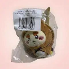 新品　ちいかわ たぬきだもんくじC賞 ぜったいたぬきなマスコット シーサー
