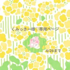 くみっきー様♡専用ページです