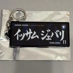 ガンバ大阪 グッズ キーホルダー 奥抜 タオル マフラー リストバンド