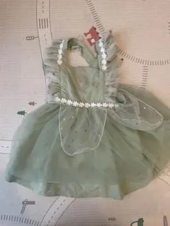 【新品】cottoli ティンカーベル 100