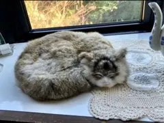 リアルな猫のぬいぐるみ キジトラ 寝そべり 置物 インテリア