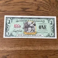 #ディズニーダラー 日本にはない「ディズニーダラー」とは？種類やデザインを大公開！