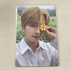 Item thumbnail for item 139b3413-c24c-41c0-91bf-c6d1726fa829