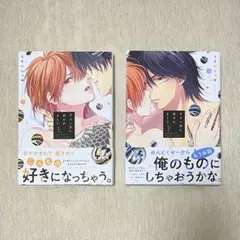 ずるい男に拾われました 上下巻