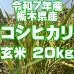 栃木県産コシヒカリ 玄米 20kg (10kg×2袋) 精米無料のサムネイル
