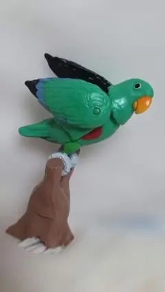 アニア 冒険大陸 アニアキングダム エディ (オオハナインコ)