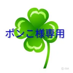 ポンこ様専用