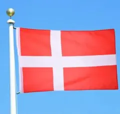 デンマーク国旗 フラッグ 応援 150cm 旗flag サッカー インテリア