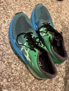 アシックス メタスピードスカイ27.0cm asics metaspeedsky