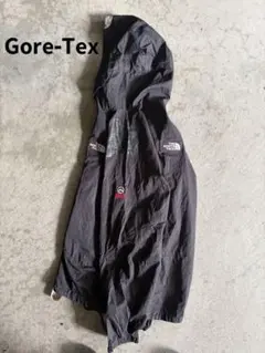 廃盤THE NORTH FACE マウンテンパーカー GORE-TEX