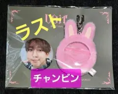 スキズ　DO IT ソフトフェイスバッチ　&SKZOO カバーセット　チャンビン