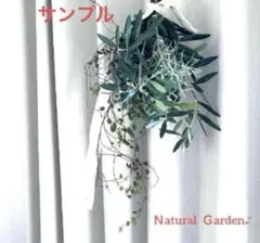 【春爛漫✨グリーンスワッグ】　フレッシュ　オリーブ　スワッグ♪約20✖︎20㎝