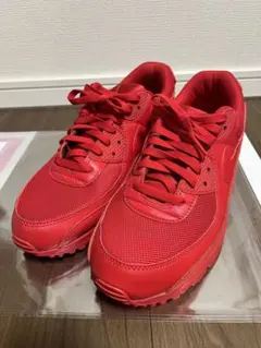 Nike Air Max スニーカー レッド