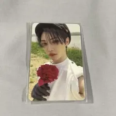 straykids スキズ felix ピリ maxident トレカ