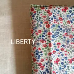 Item thumbnail for item 40a4f8c6-c173-4b04-8c7e-abe76287c8c5