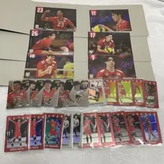 バレーボール男子日本代表 ポストカードコレクション　ガチャ　ウエハースカード