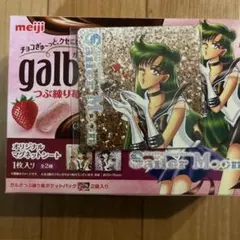 匿名配送　セーラームーン 明治コラボ ガルボ セーラープルート マグネットシート