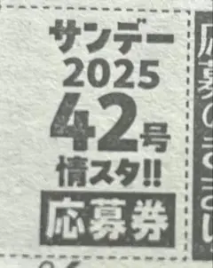 週刊少年サンデー 42号 情スタ‼︎ 応募券 1枚