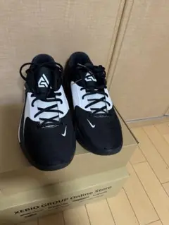 希少中古ナイキズームフリーク4 レーザーブルー28cm Nike Zoom Freak 4 