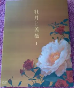牡丹と薔薇 DVD-BOX 上〈4枚組〉